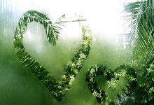 勒沃库森对阵斯图加特，这场德甲对决有哪些看点？